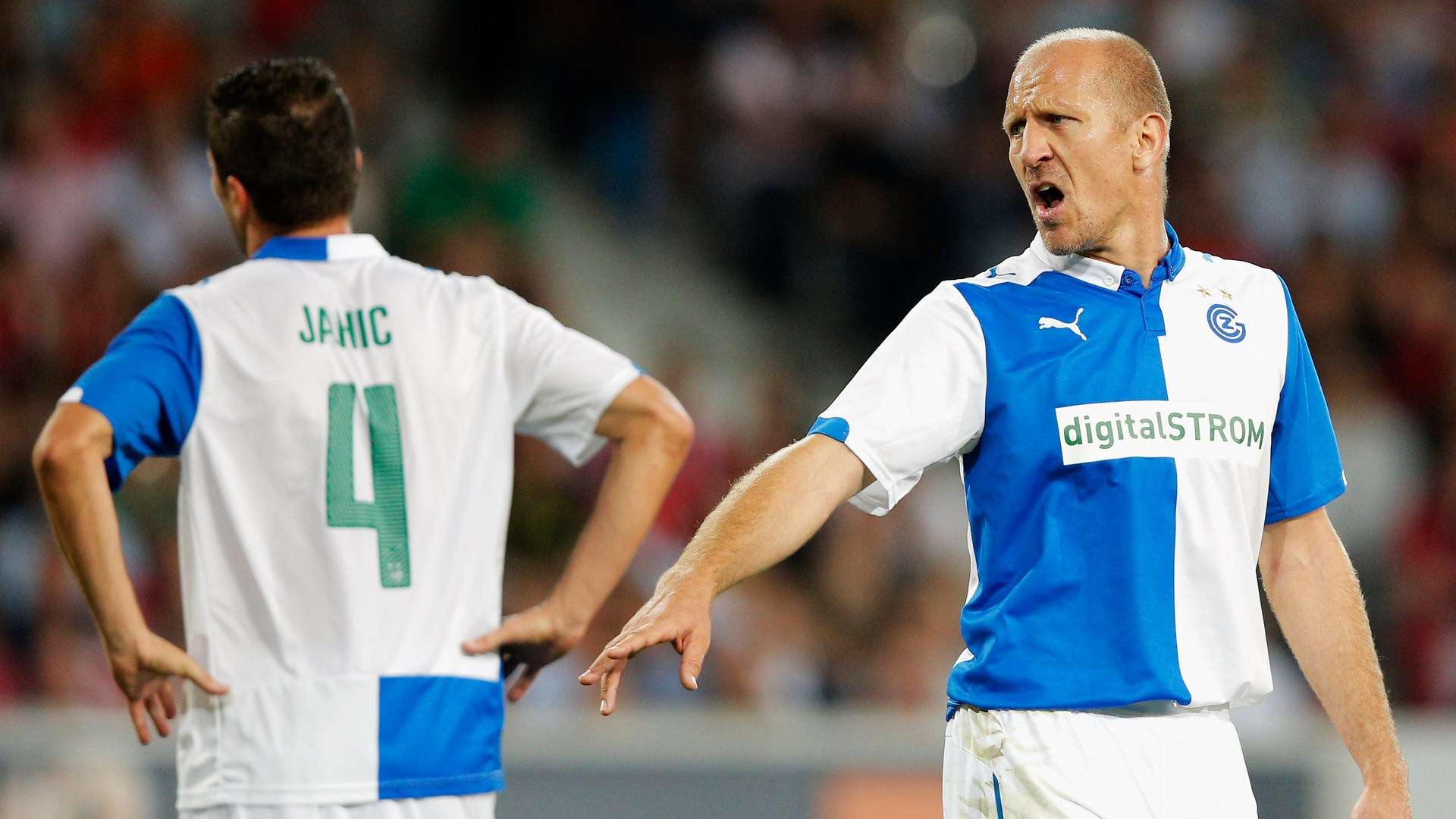 带来了新的 带来了新的